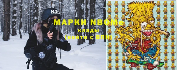 СК Ельня