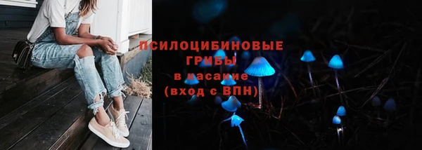 прущие грибы Ханты-Мансийск