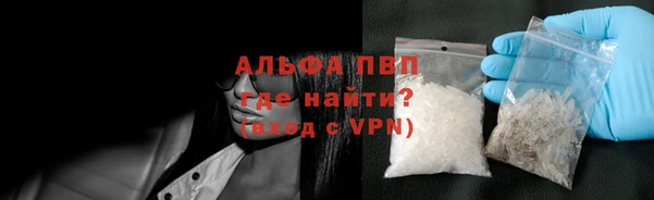 ПСИЛОЦИБИНОВЫЕ ГРИБЫ Елабуга