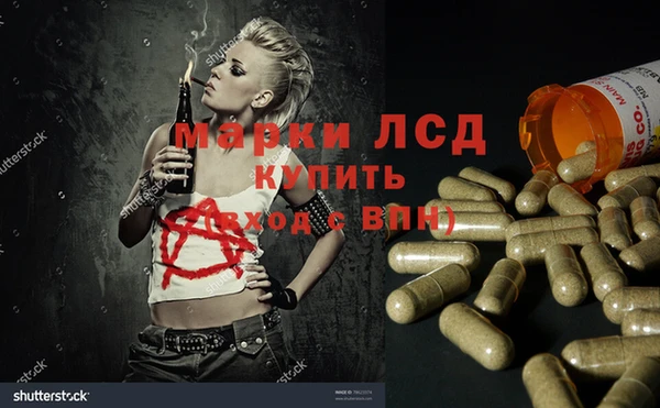 СК Ельня