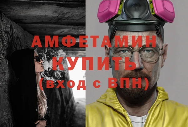 СК Ельня