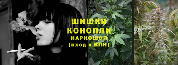 СК Ельня