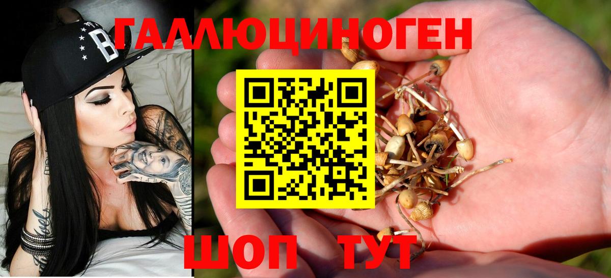 Богородицк  Галлюциногенные грибы Psilocybine cubensis  Вход с VPN 