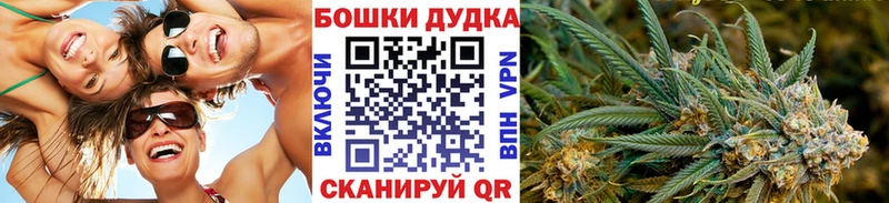 Шишки марихуана планчик  Богородицк 